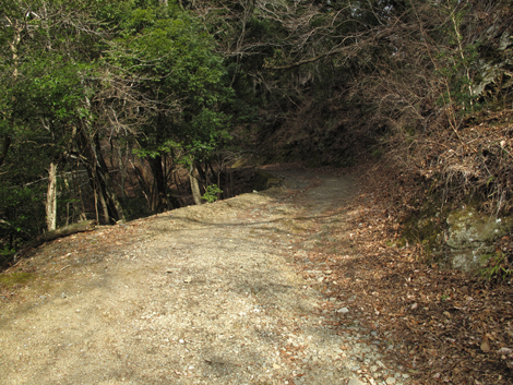 20160204hike (47)